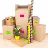 imageAvery Printable Address Labels with Sure Feed 2quot x 4quot Assorted Neon Magenta Green Yellow 150 Blank Mailing Labels 5978Assorted