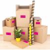 imageAvery Printable Address Labels with Sure Feed 2quot x 4quot Assorted Neon Magenta Green Yellow 150 Blank Mailing Labels 5978Neon Magenta