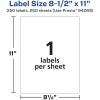 imageAvery Matte White Rectangle Labels 85quot x 11quot 25 White Labels Permanent Adhesive LaserInkjet Printable250 labels