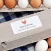 imageAvery Matte White Rectangle Labels Sure Feed Technology 2quot x 4quot 250 Matte White Printable Labels1 000 Labels