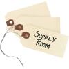 imageAvery Shipping Tags with Wire 115 pt Stock 314quot x 158quot 1000 Manila Hang Tags 12602