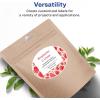 imageAvery Matte White Oval Labels Sure Feed Technology 425quot x 25quot 150 Matte White Printable Labels600 Labels