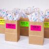 imageAvery Multipurpose Labels Removable Assorted Neon 2 x 4 Inches Pack of 120 6481Assorted