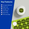imageAvery Printable Square Scalloped Labels Sure Feed Technology 158quot x 158quot Bright Green Labels PrinttoTheEdge LaserInkjet Printable 200 Total Great for Cosmetics and Jars1 600 labels