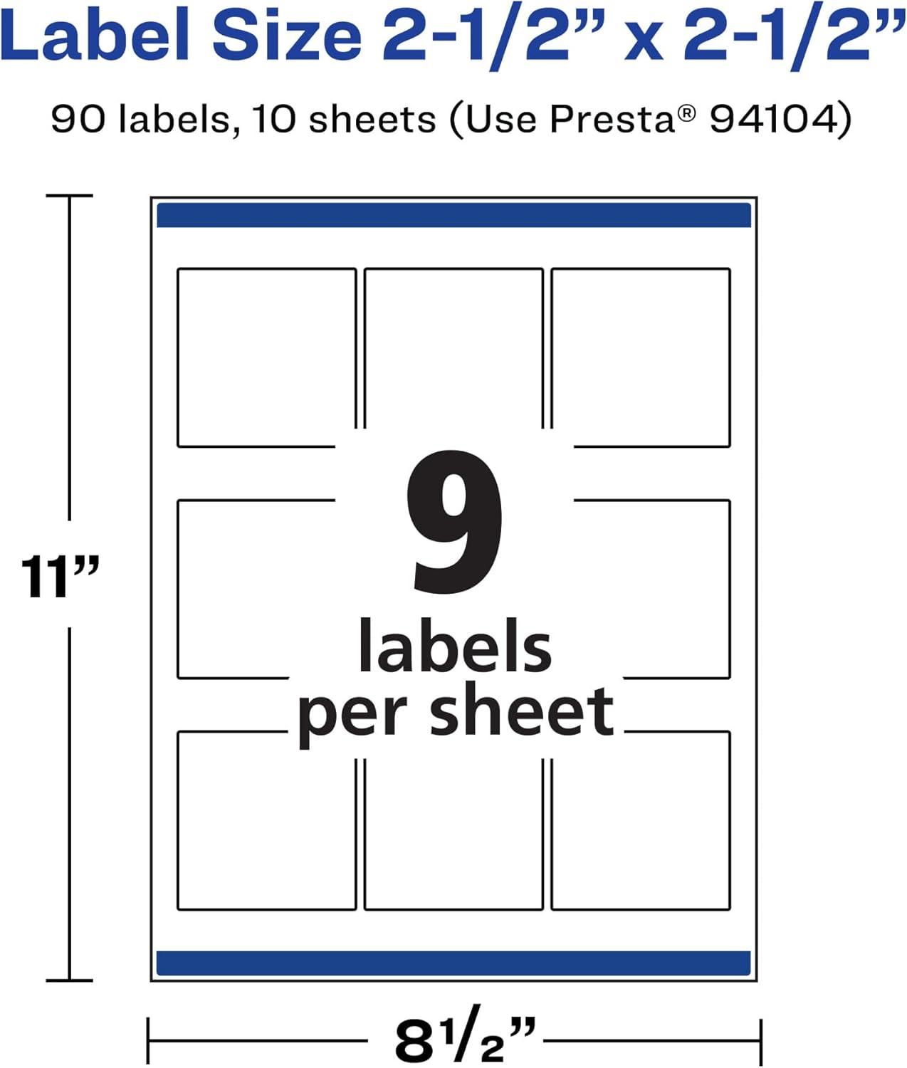 imageAvery Durable Waterproof Square Labels Sure Feed Technology 25quot x 25quot 90 Total Oil and TearResistant Waterproof Labels LaserPigmentBased Inkjet Printable90 labels