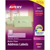 imageAvery Printable Address Labels with Sure Feed 1quot x 4quot Matte Clear 1000 Blank Mailing Labels 056611 x 4 Pack of 5