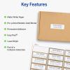 imageAvery Printable Address Labels 1quot x 258quot Matte White with Metallic Gold Borders Permanent Laser ampamp Inkjet Compatible 300 Blank Mailing Labels Great for Weddings Favors and More 6507