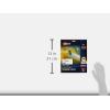 imageAvery Printable Shipping Labels with Sure Feed 2quot x 375quot White 200 Blank Mailing Labels 68732 x 375