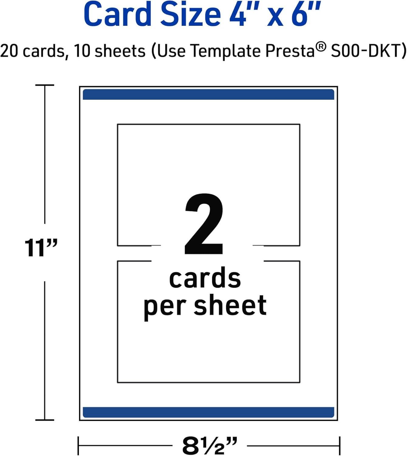 imageAvery Printable Rectangle Postcards Gold MultiLined Border 4quot x 6quot Matte White LaserInkjet 20ct Great for PostcardsBlack  White Polka Dots